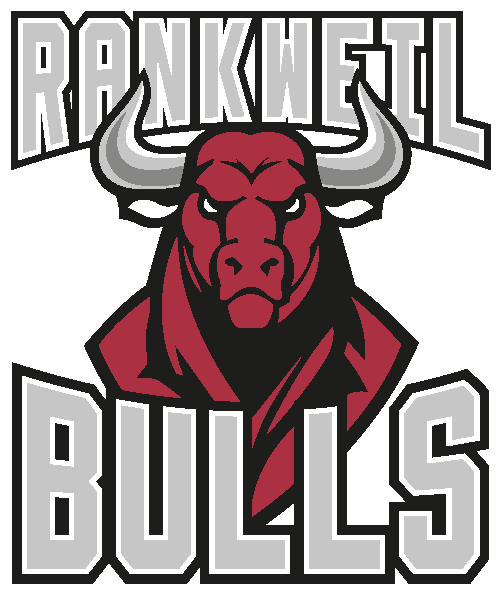 logo_bulls